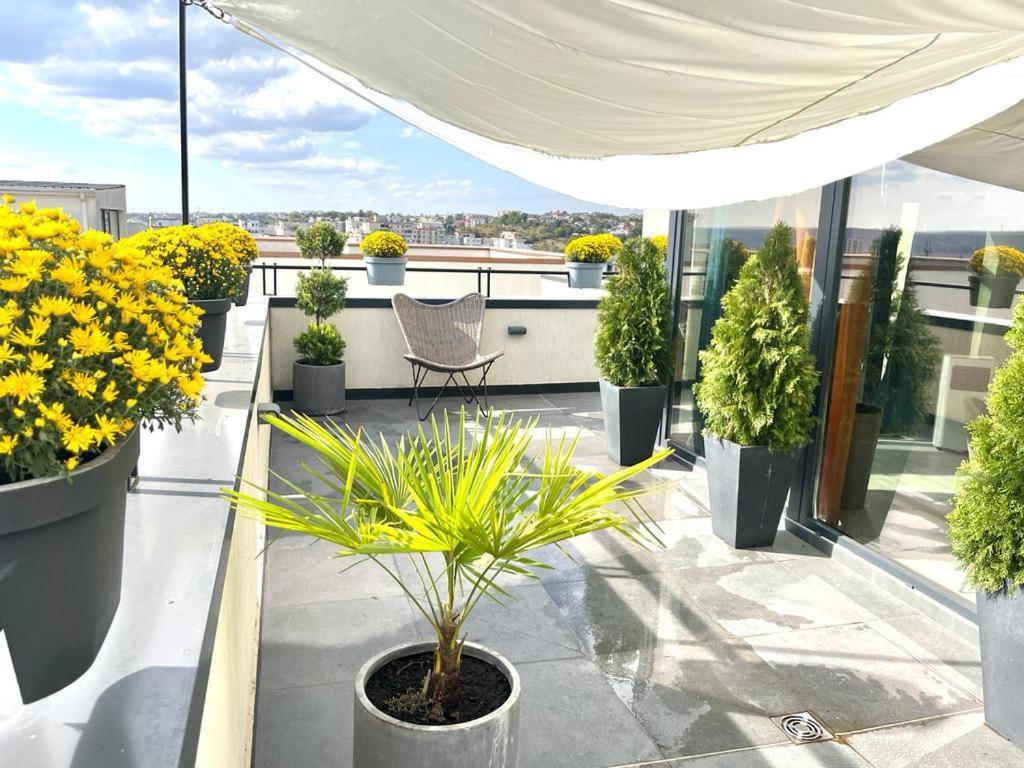 Penthouse Exclusive View , Iasi Lejlighed Eksteriør billede